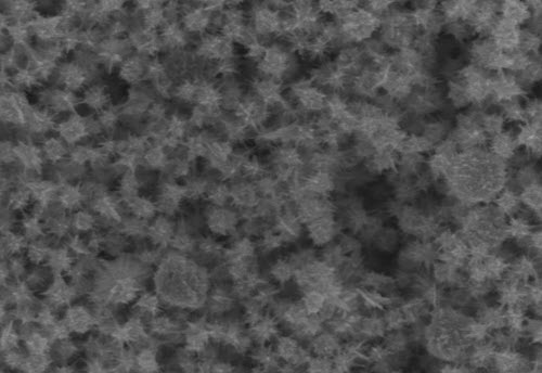 Nhà khoa học Việt nghiên cứu công nghệ diệt khuẩn từ nano vàng
