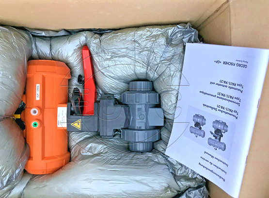 Pneumatic Actuator