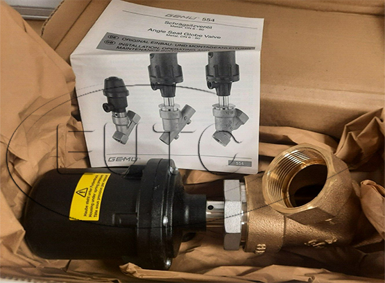 Angle seat globe valve