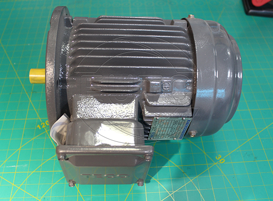 TECO MOTOR Model: AESU1S-4P-1HP-220/380V-50HZ-IP55-IE1