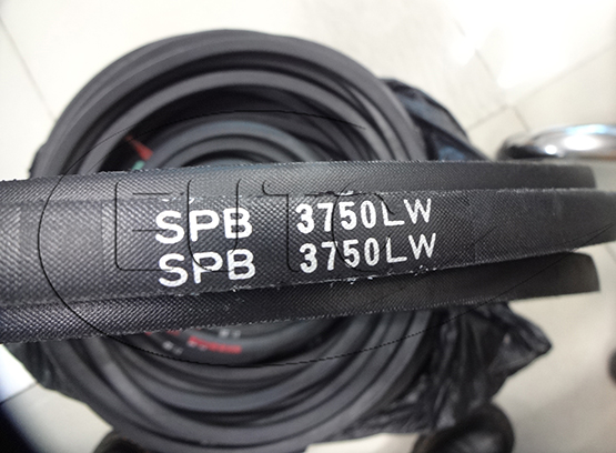 DÂY CUROA CAO SU SPB3750