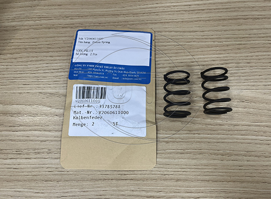 Piston Spring