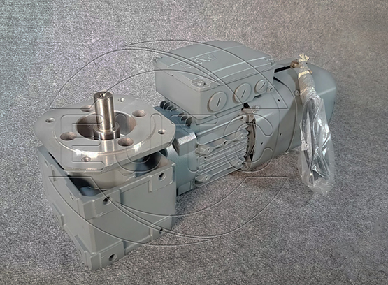 Gear Motor