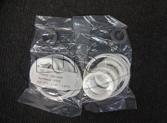 Sealing Kit-ZD, DN32, PTFE/FKM